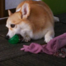 一人で遊べるの画像