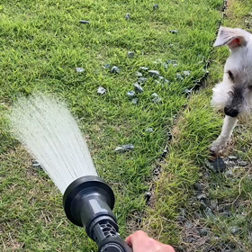 次女の妊婦健診と、長女と夫の協力の画像