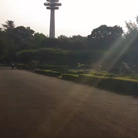 男子選考会ゴール付近⑥の画像