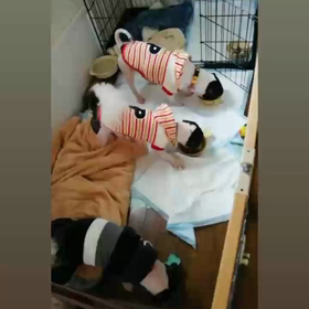 ウキウキ タイム♬の画像