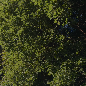 13日の金曜日の画像