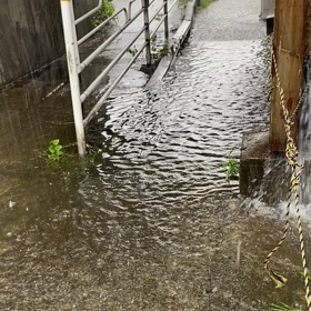 昨日の冠水がめざましテレビにでた。の画像