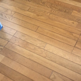 悩みなく元気なのに眠れないU君脳神経内科へ？デールお散歩へ…の画像