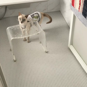 ねこあるある。の画像