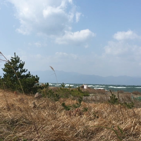 お昼の新海浜の画像