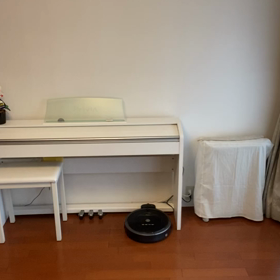 日舞やってみる続きの画像