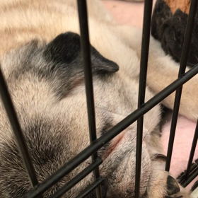 14歳の破壊的な。の画像