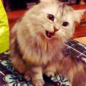 this my boys)♥の画像