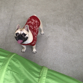 ♪プレイルーム動画♪①の画像