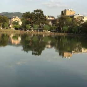 佐村河内の画像