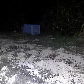 すぎぴたんの事件簿　シーズン２　１８１話（くるぅ~、きっと、くるぅ～　ネコ）の画像