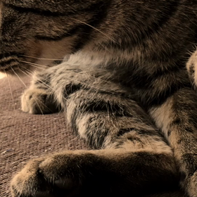 ♩いちばん星  サビ前からの音源の画像