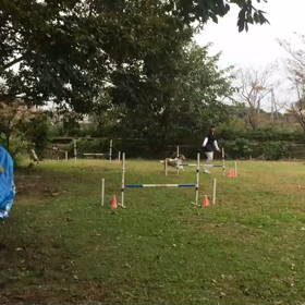 270度旋回の処理と前進意欲の画像