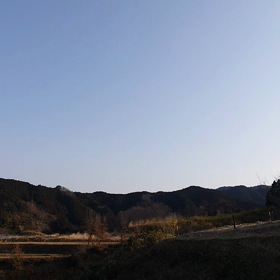 春の声の画像
