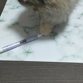 ボールペンは………の画像