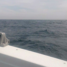 28・29日出船の画像