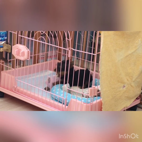 1人でも遊べるもん♡の画像