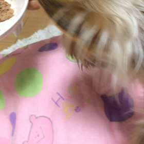 新たな症状の画像