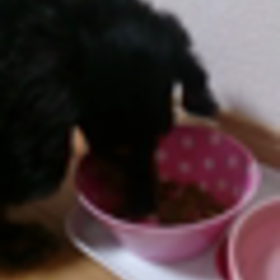 やっぱり～！嬉しい！の画像