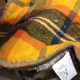 354日目おしゃべり晴栗さんの画像