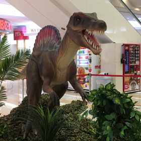 恐竜あらわる？の画像