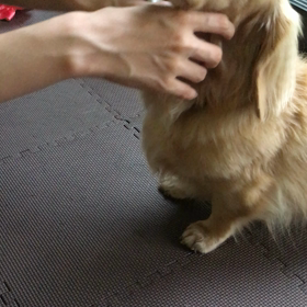 勘弁して〜の画像