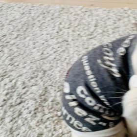 なんだか暗い話題ばかりで。の画像