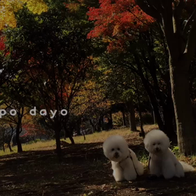 メモリーに。。の画像