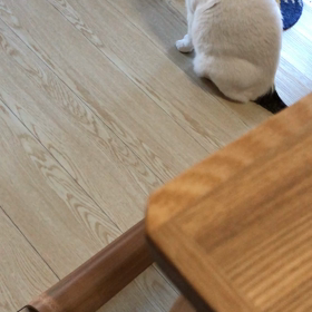 催促のお声の画像