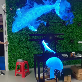 3Dホログラムの画像