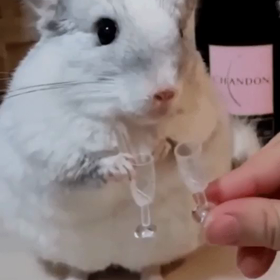 なんか癒されるの画像