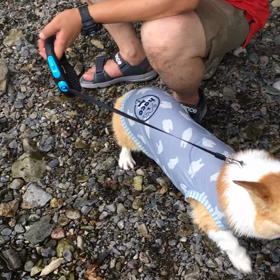 スリスリの画像