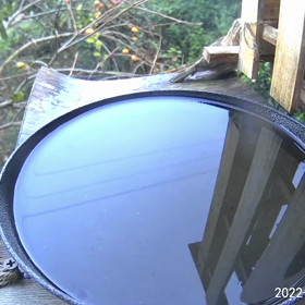 すぎぴたんの事件簿シーズン3　45話（騒がしいドリンクバー）の画像