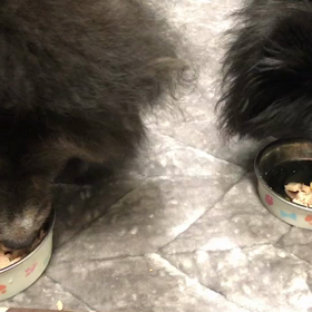 土地売買のための。。の画像