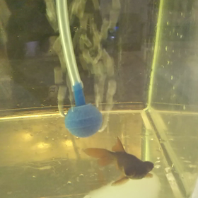 今日はなんの日？の画像