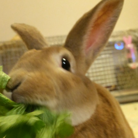 好きな仕草の画像