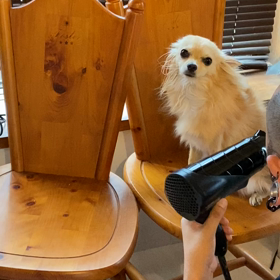 シャンプーの画像