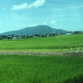 人生楽しいの画像