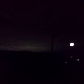 晴火（せいか）の画像