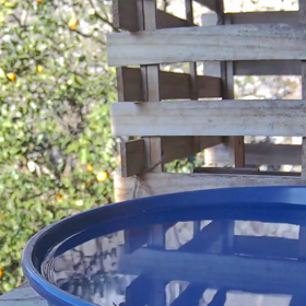 すぎぴたんの事件簿シーズン3　196話（どうぞ！ほぃ(ﾉ｡・_・｡)ﾉ ⌒ 【種】）の画像