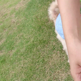 お初。まるちゃんテスト動画の画像