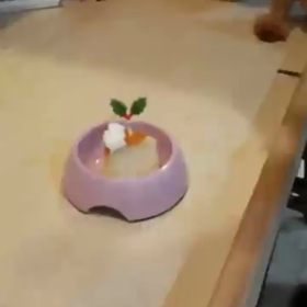 ハッピーメリークリスマスの画像