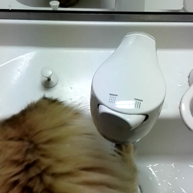 のど　渇いた❗の画像