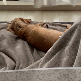 まるで人間のようだ‼️の画像