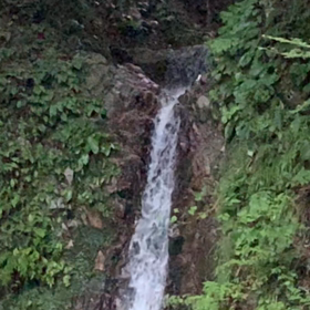 KIN116   黄色い戦士　赤い蛇　音12の画像