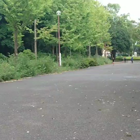 クラブ交流 女子リレー選考会①の画像