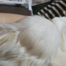 ンーンー言う女の画像