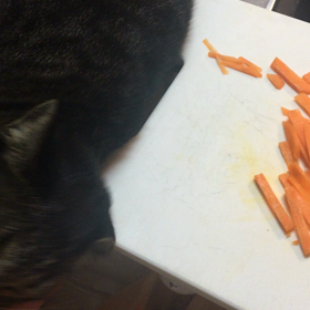 よし子、変ですか？(・_・)の画像