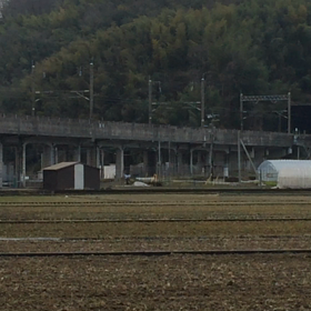 ハッピーイエロー♡の画像