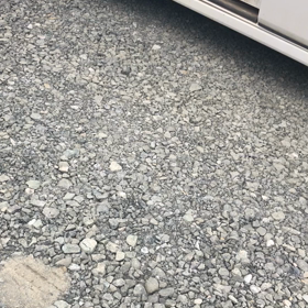 ミル散歩の画像